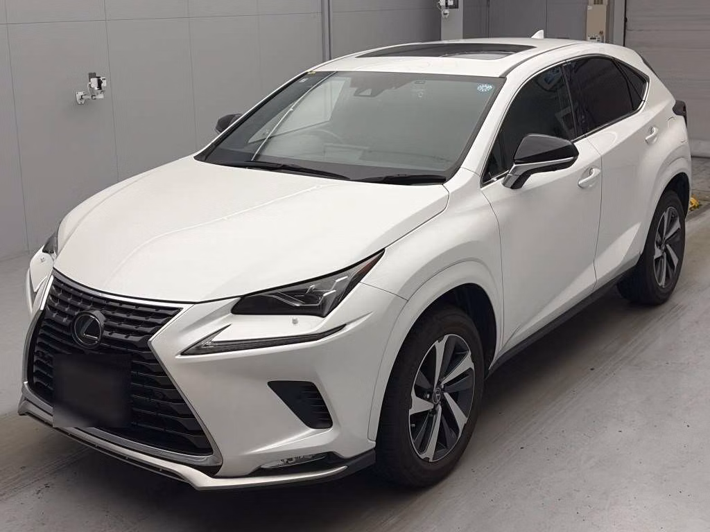 LEXUS NX300
