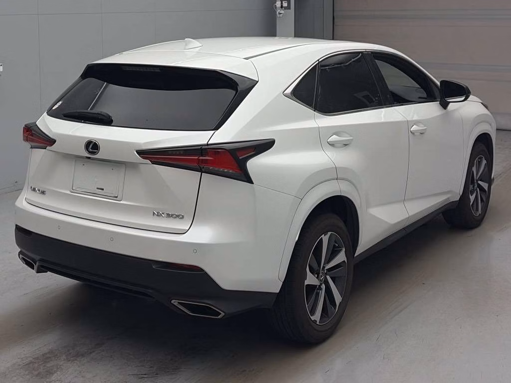 LEXUS NX300