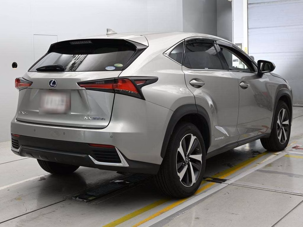 LEXUS NX300