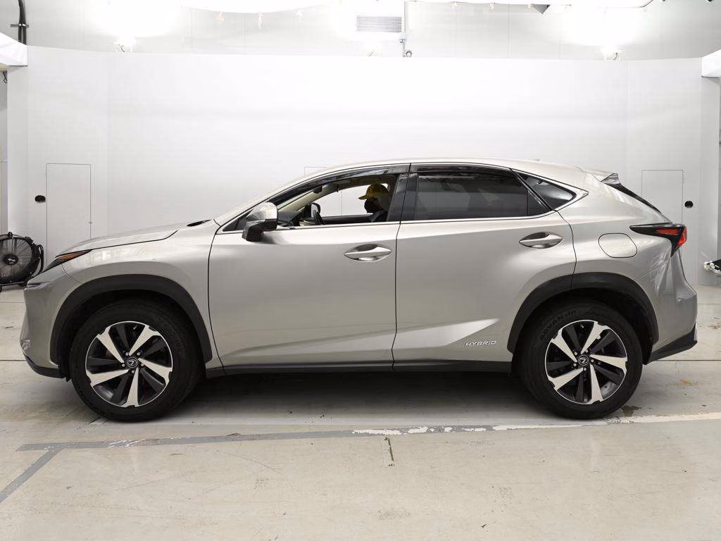LEXUS NX300