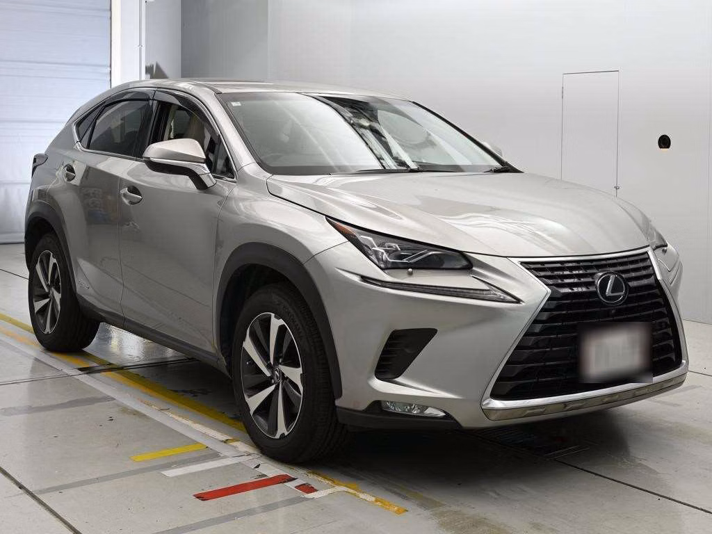 LEXUS NX300