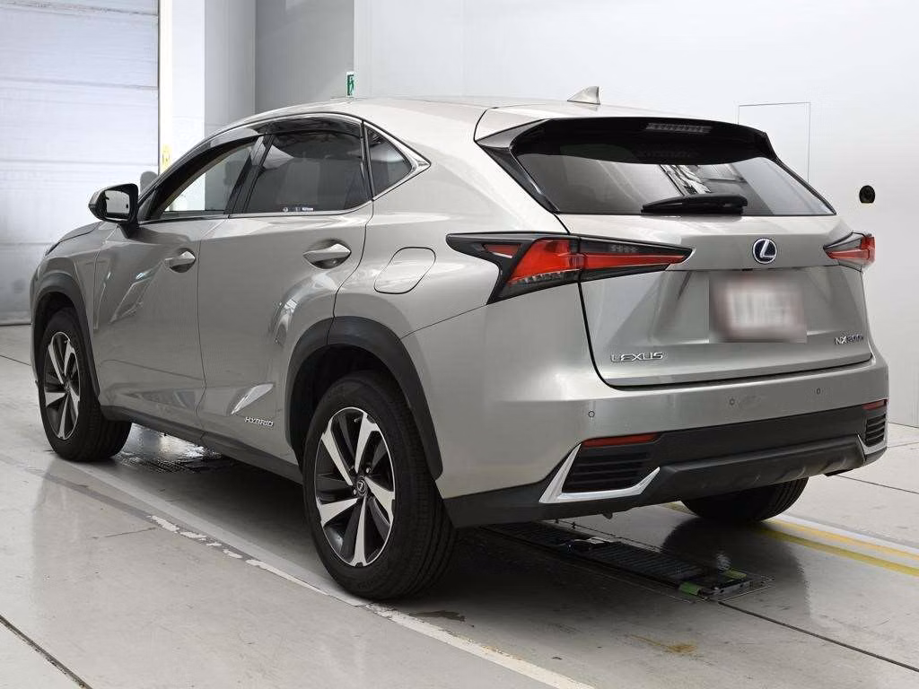 LEXUS NX300