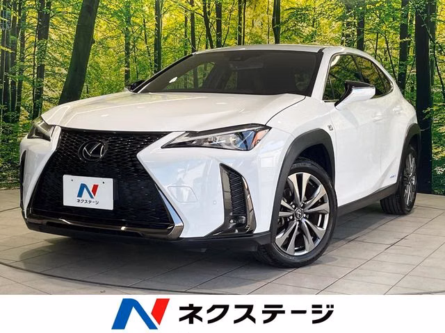 Lexus UX250h