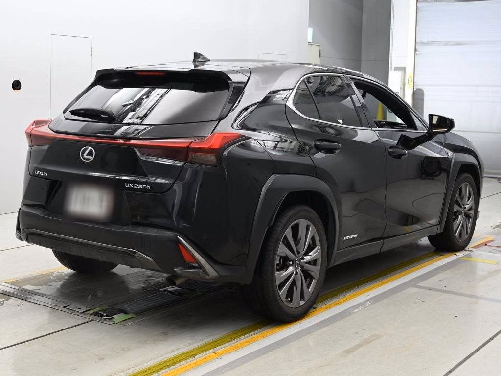LEXUS UX250H