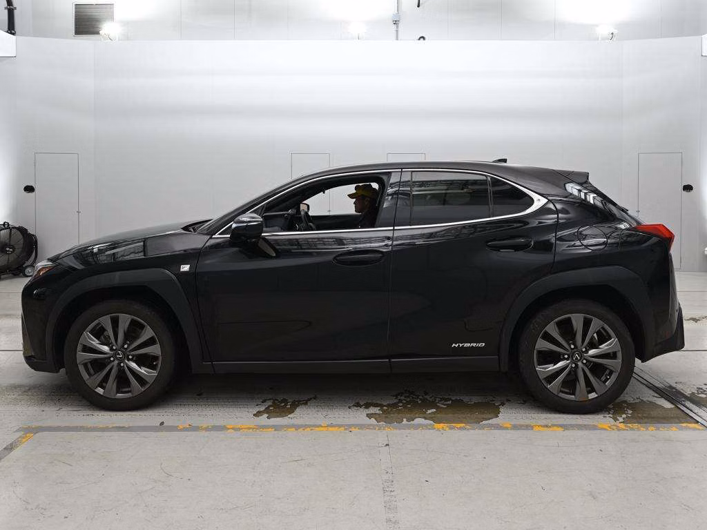 LEXUS UX250H