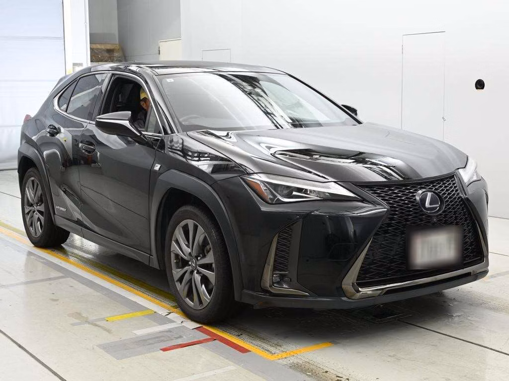 LEXUS UX250H