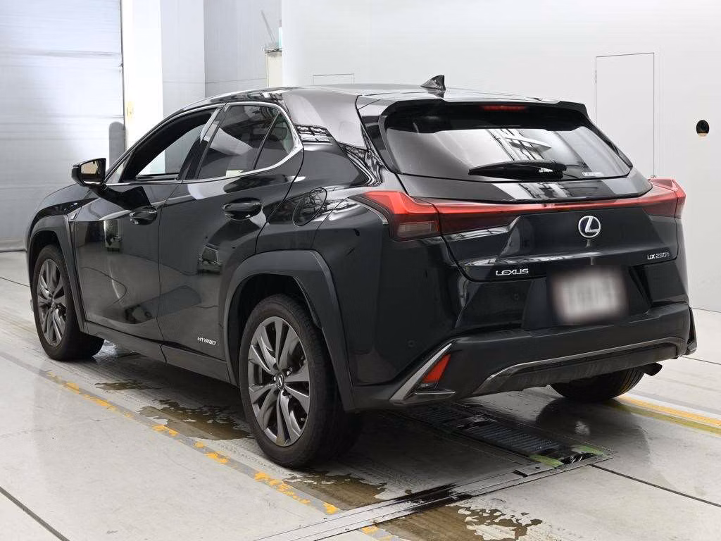 LEXUS UX250H