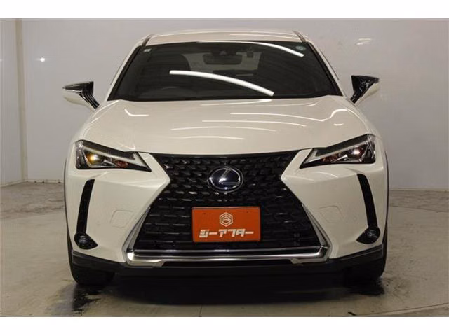 Lexus UX250h