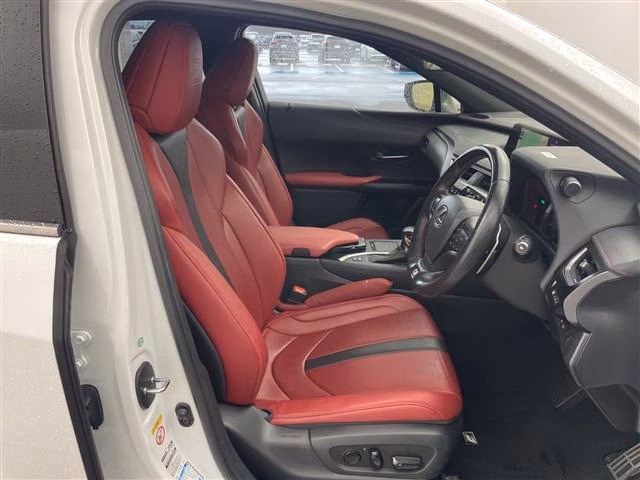 Lexus UX250h