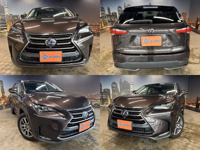 Lexus NX300h