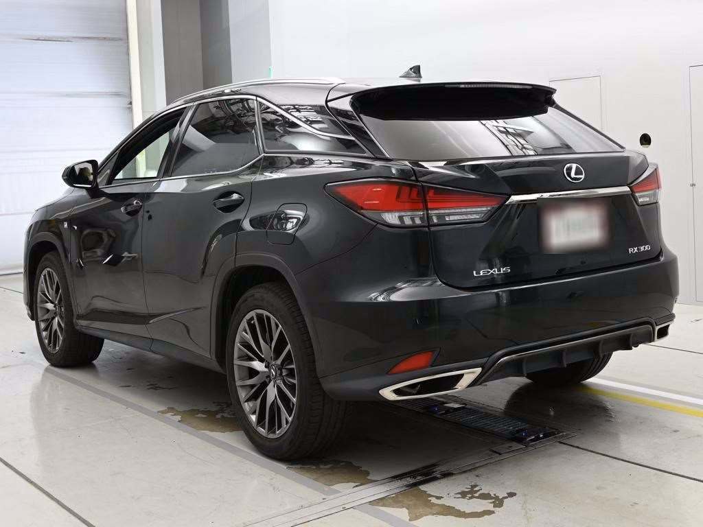 LEXUS RX300