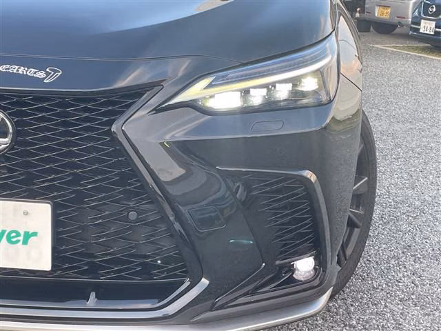 LEXUS NX350H