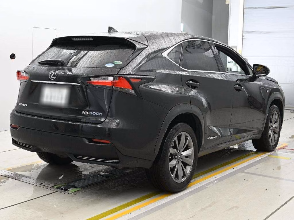 Lexus NX300h