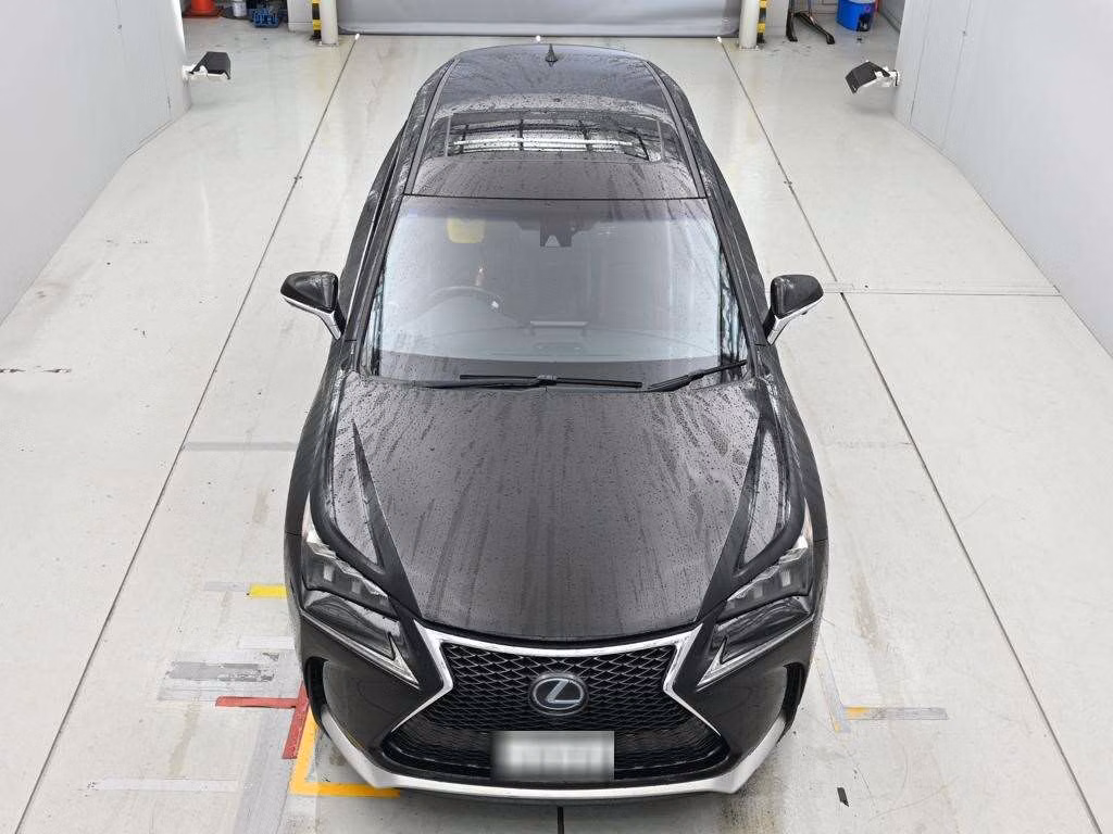 Lexus NX300h