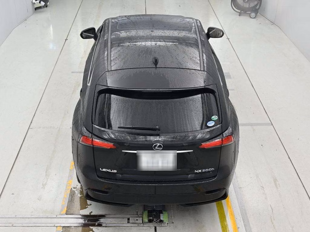 Lexus NX300h