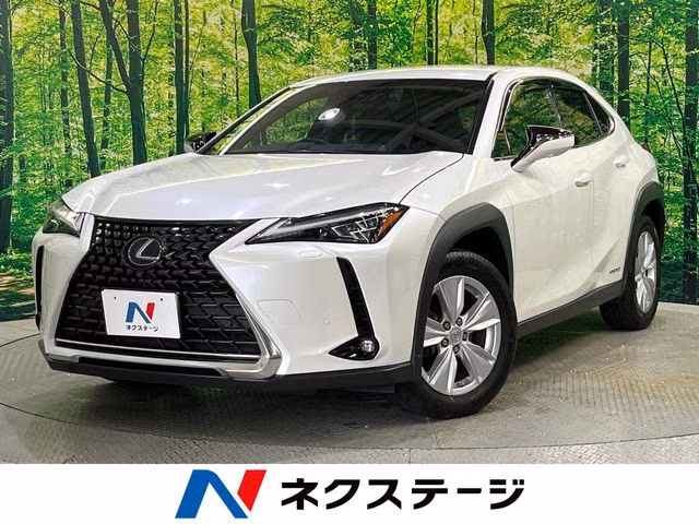 Lexus UX250h