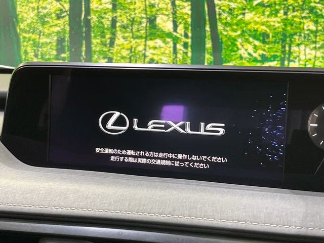 Lexus UX250h