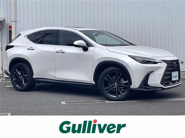 LEXUS NX250