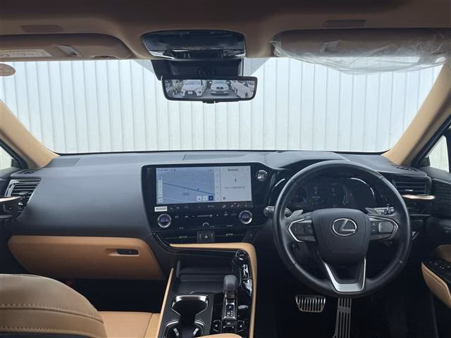 LEXUS NX250