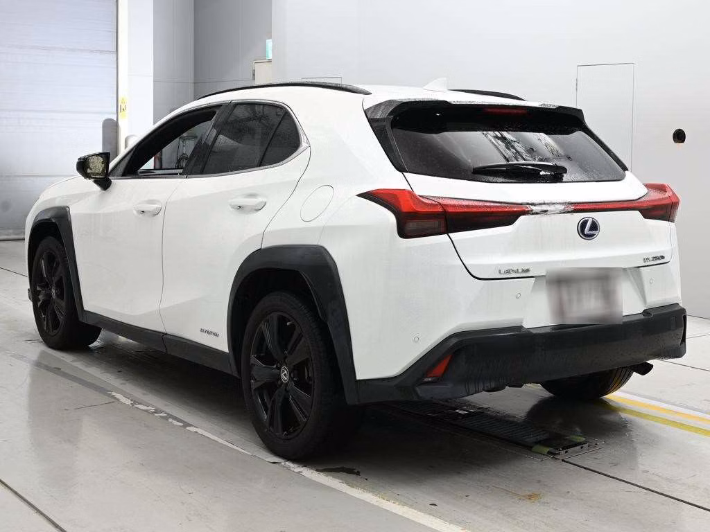 LEXUS UX250H