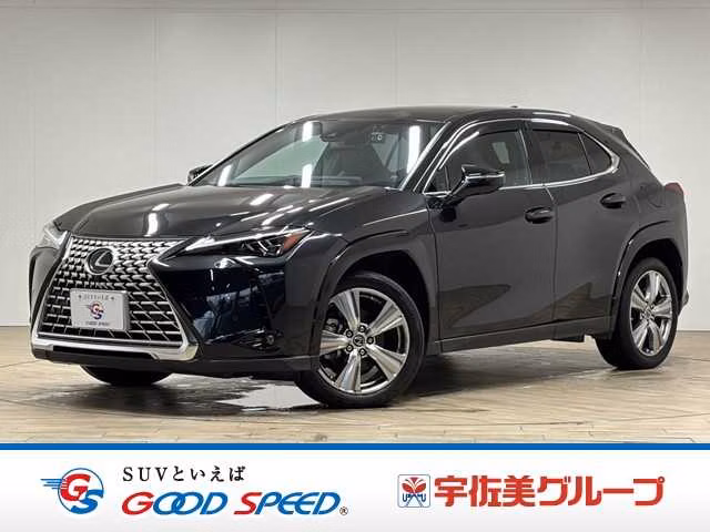 Lexus UX250h