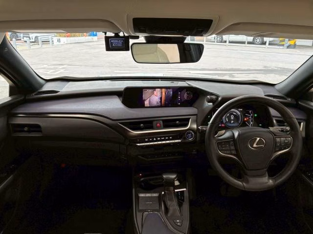Lexus UX250h