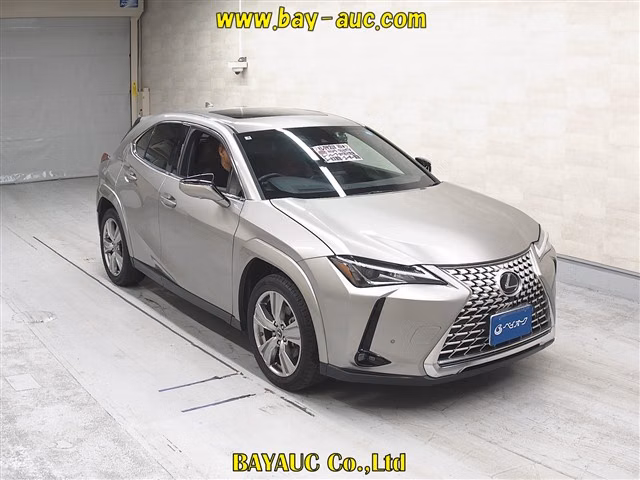LEXUS UX250H