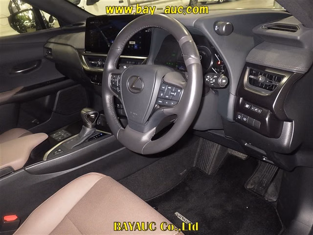 LEXUS UX250H