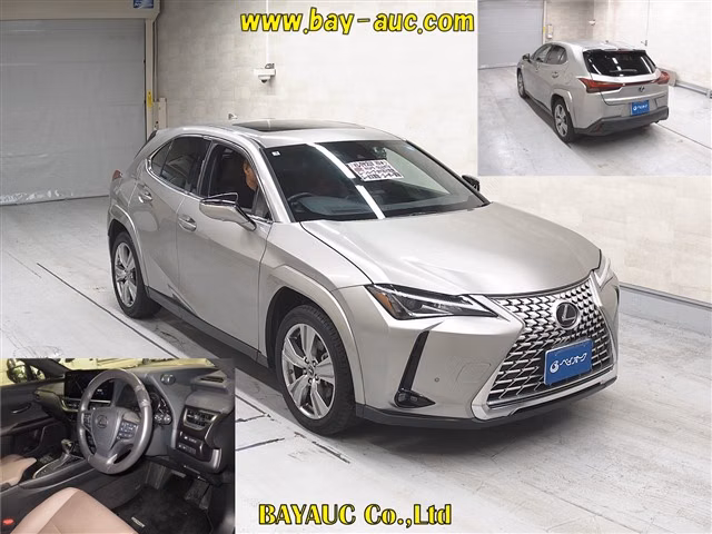 LEXUS UX250H