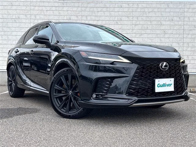 LEXUS RX500H