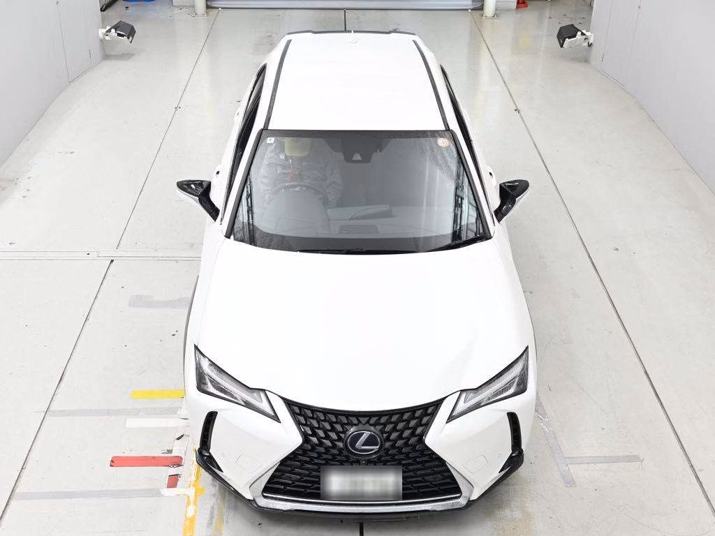 Lexus UX250h