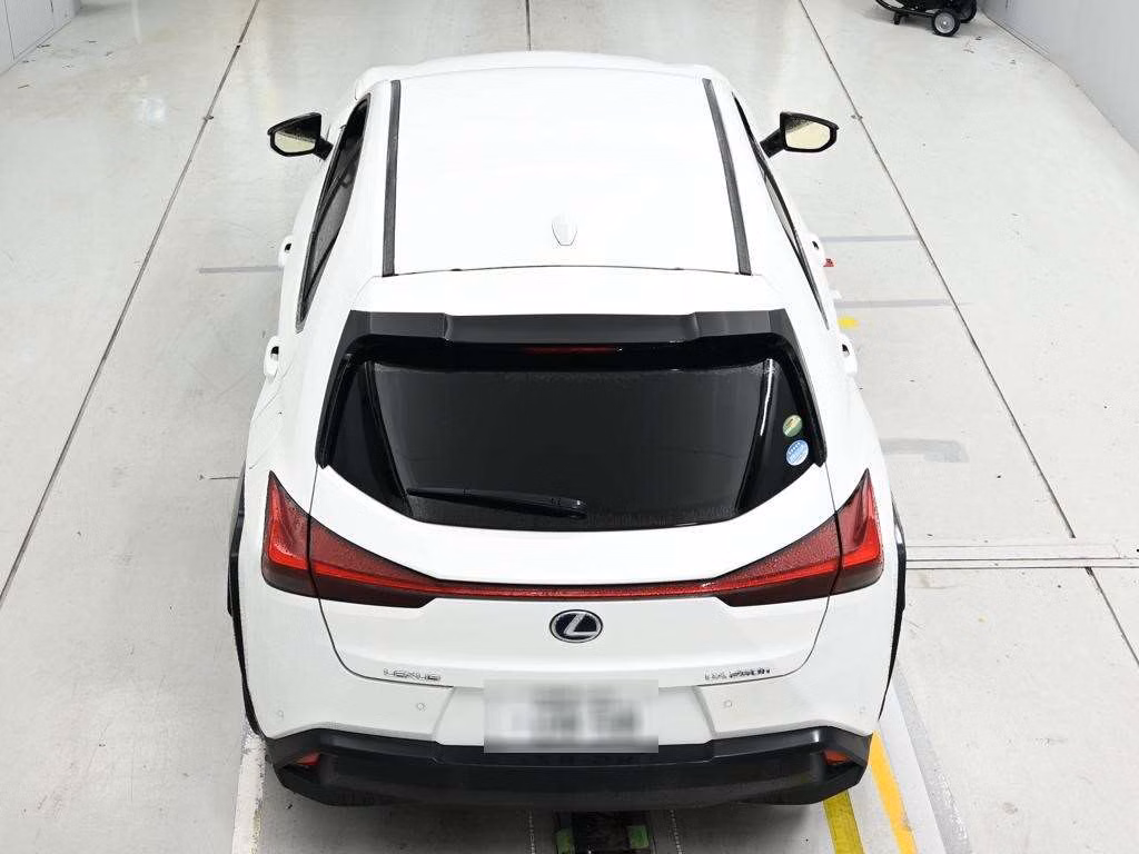 Lexus UX250h