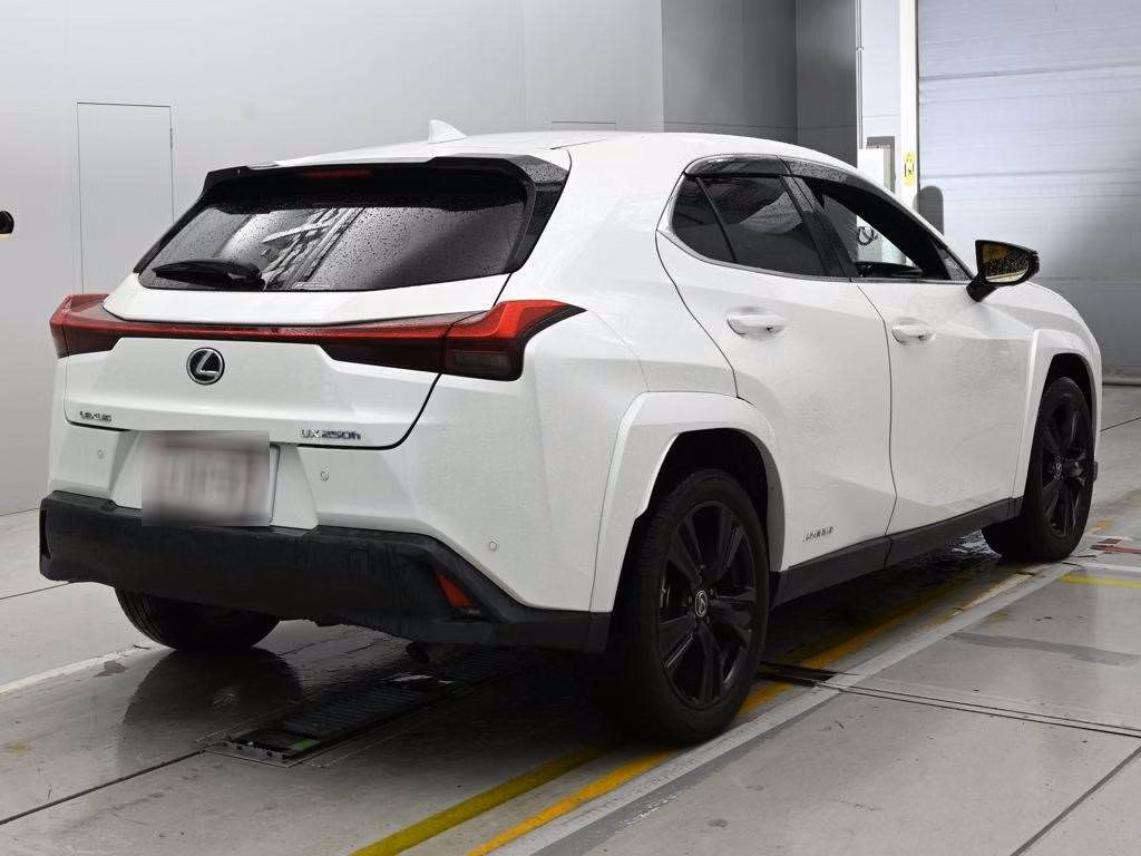 LEXUS UX250H