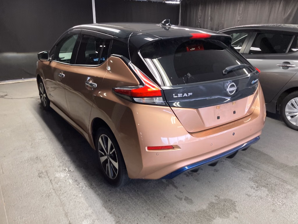 NISSAN LEAF