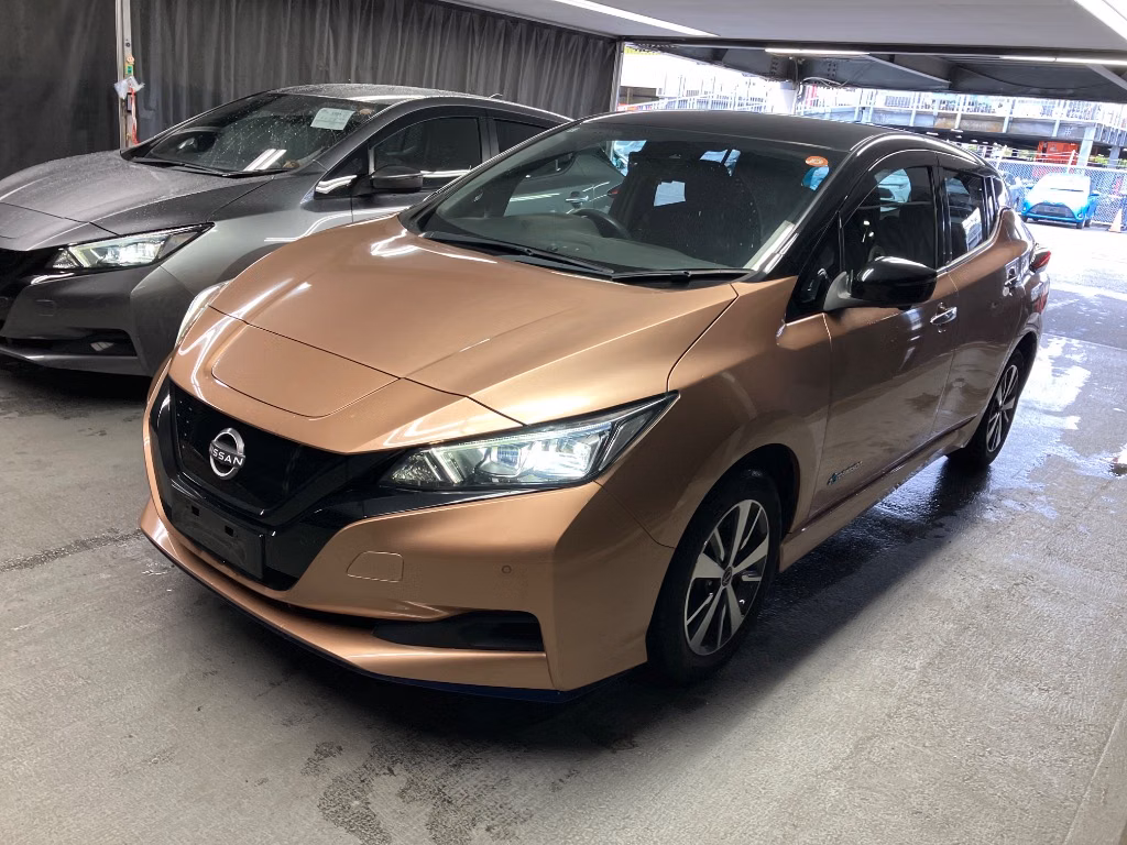 NISSAN LEAF