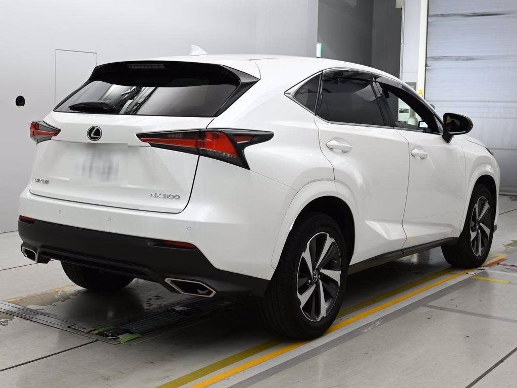 LEXUS NX300