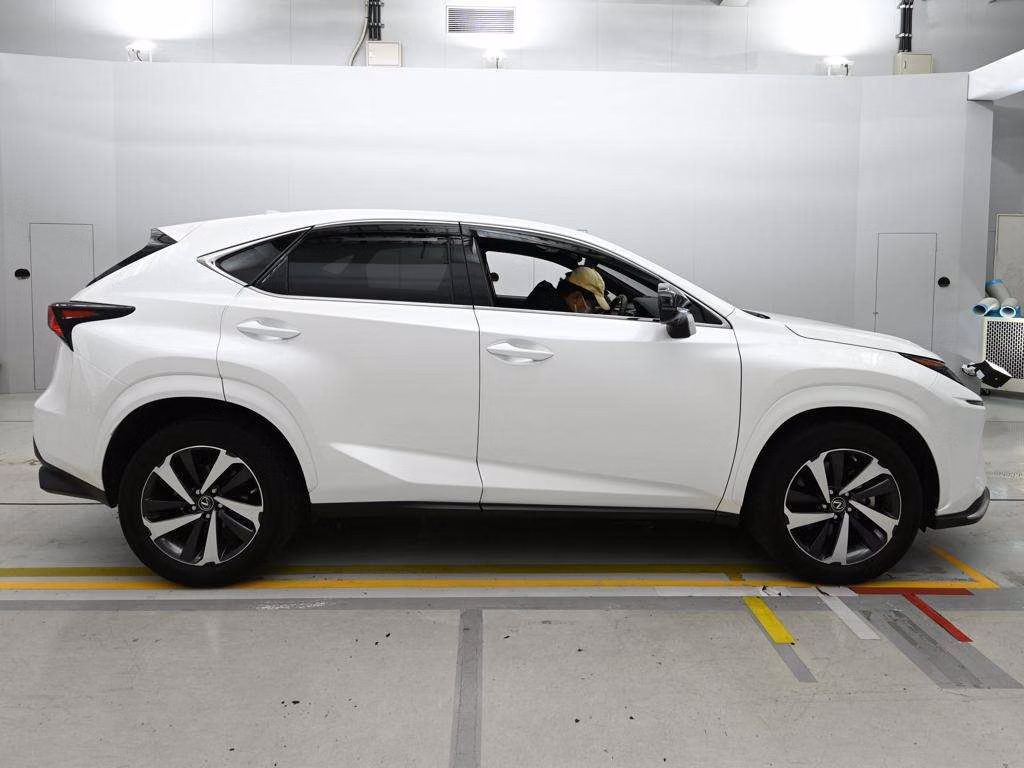 LEXUS NX300