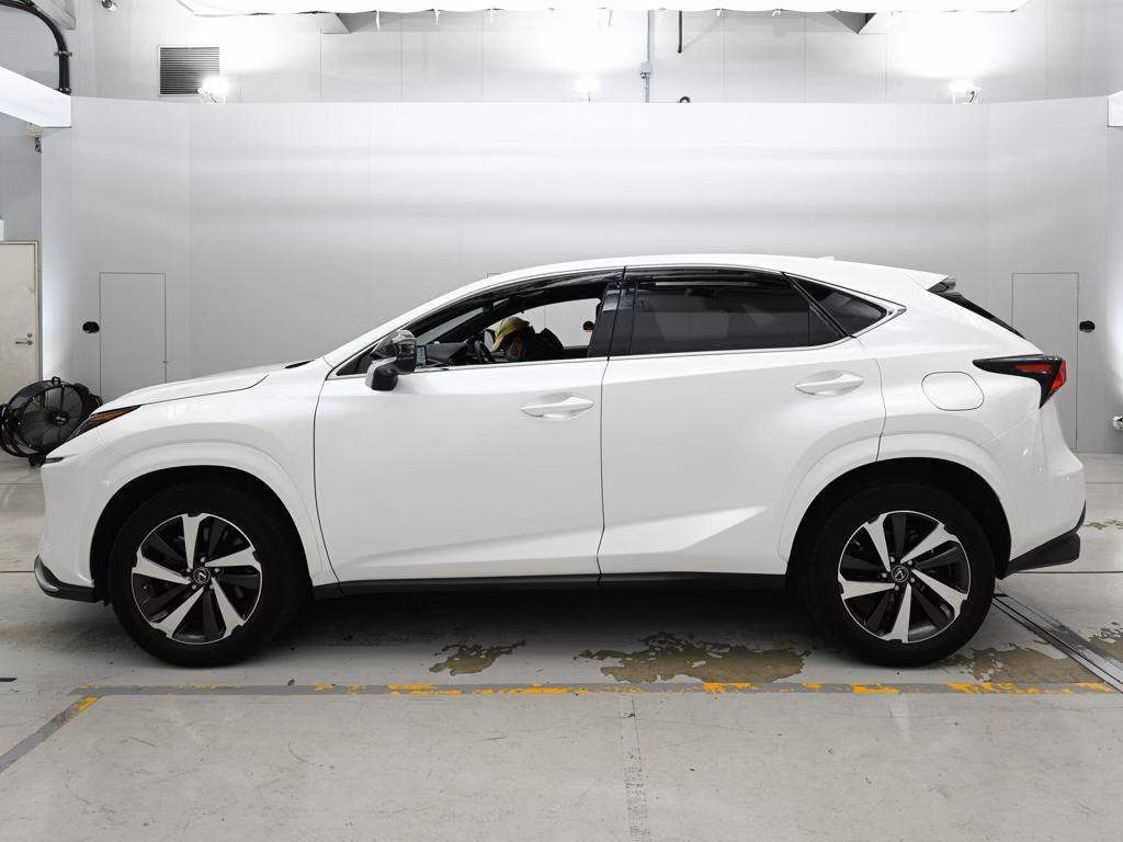 LEXUS NX300