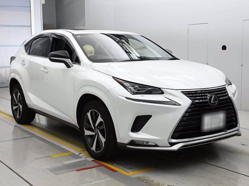 LEXUS NX300