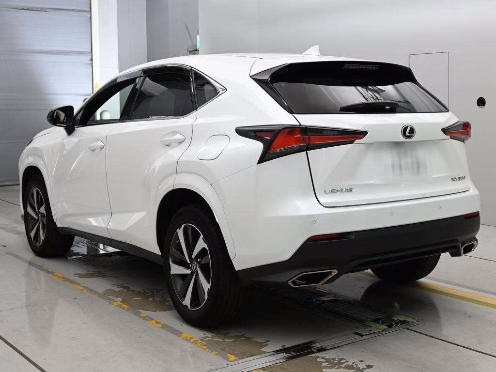 LEXUS NX300