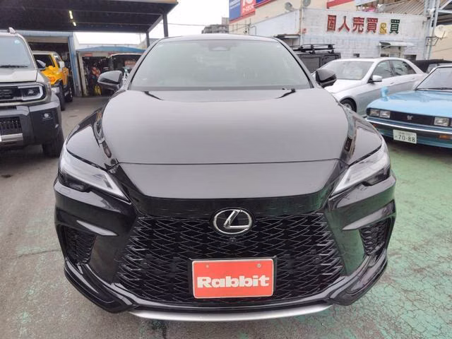 LEXUS RX500H