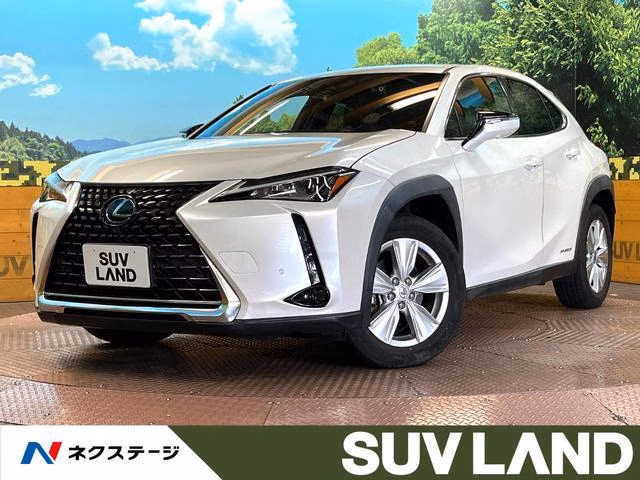 Lexus UX250h