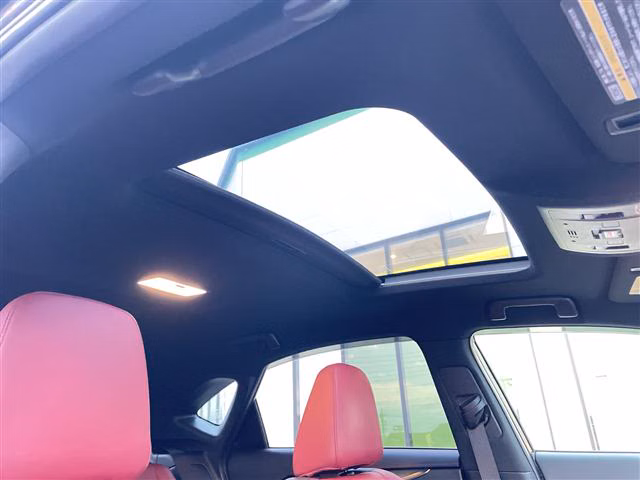 LEXUS NX300H