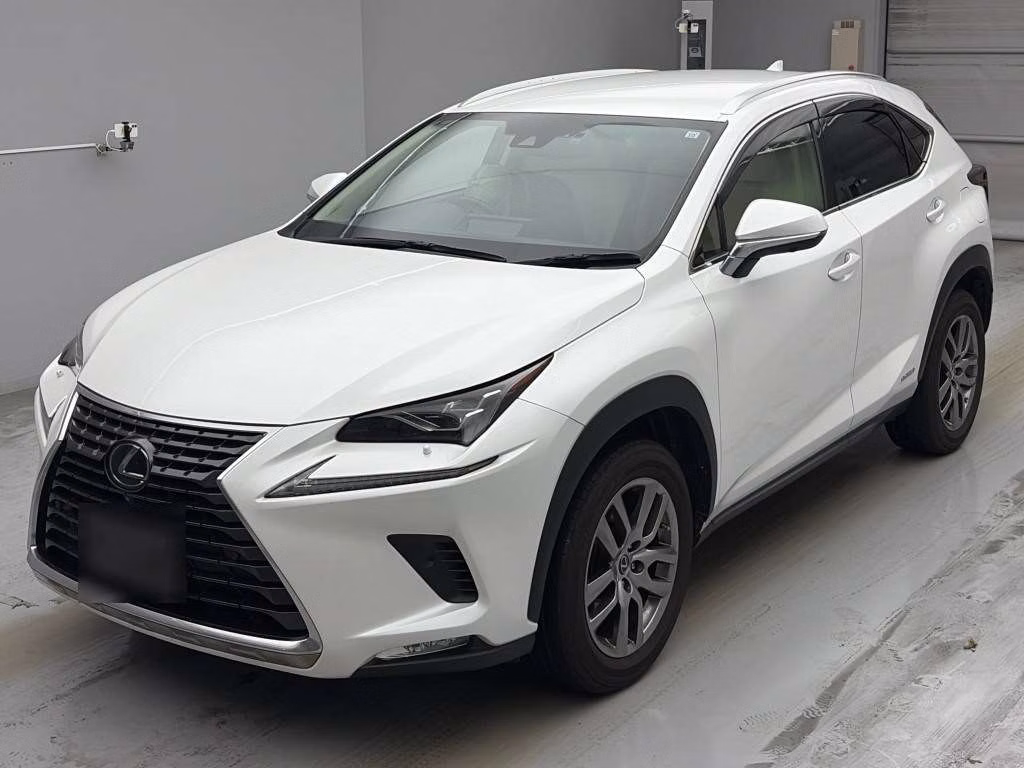 LEXUS NX300H