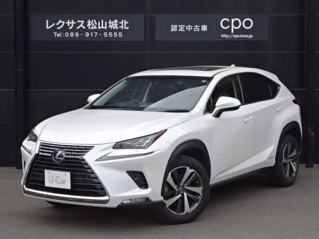 Lexus NX300h
