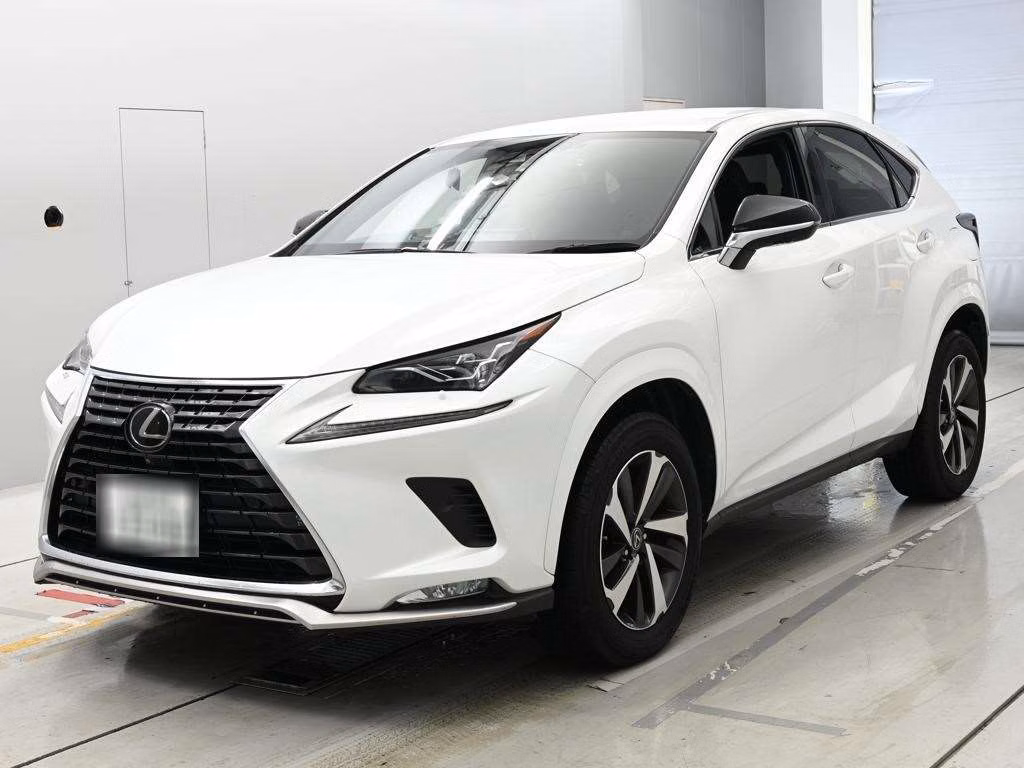 LEXUS NX300