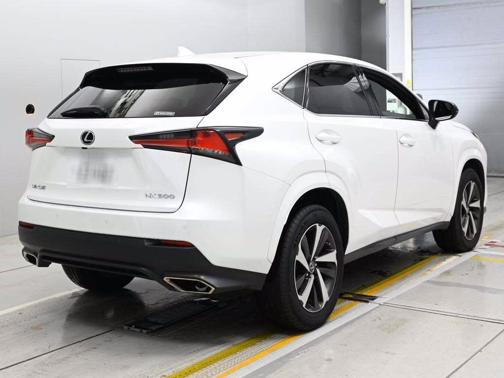 LEXUS NX300