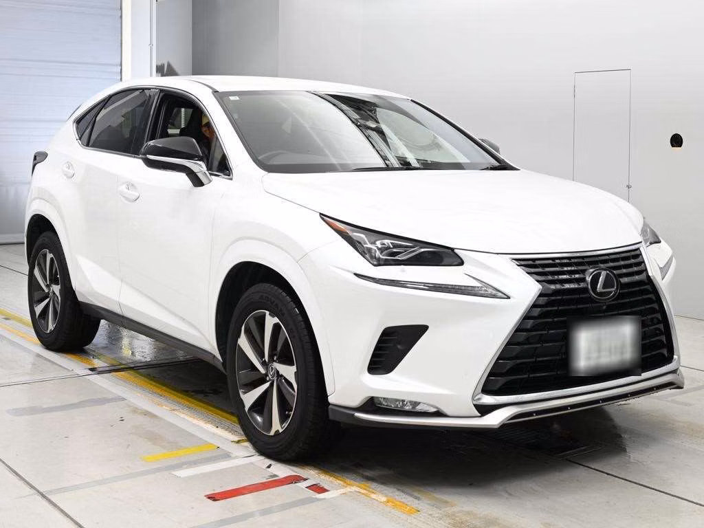 LEXUS NX300