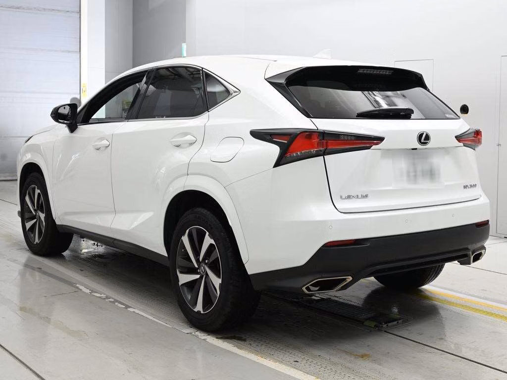 LEXUS NX300
