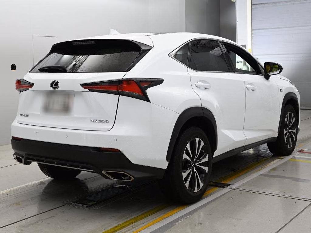 LEXUS NX300